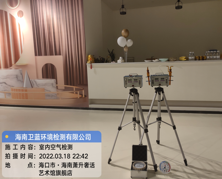 海南CMA甲醛檢測(cè)-?？谑惺捝莼钏囆g(shù)館甲醛檢測(cè)