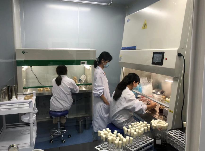 公共衛(wèi)生檢測(cè)的重要性，你了解嗎？