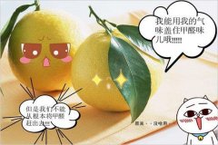 去除甲醛的方法多種多樣，哪種最實(shí)用靠譜